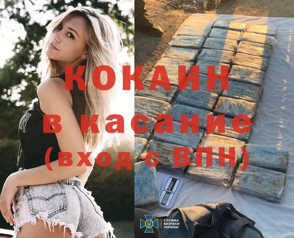 прущие грибы Алексеевка