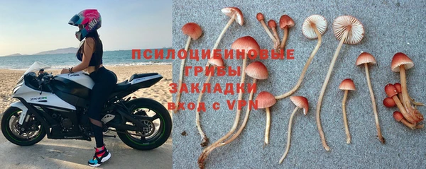 ALPHA-PVP Алексин