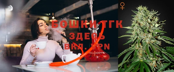 прущие грибы Алексеевка