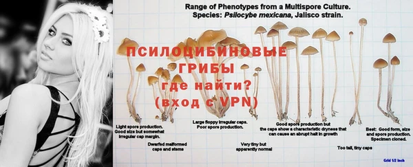 ALPHA-PVP Алексин