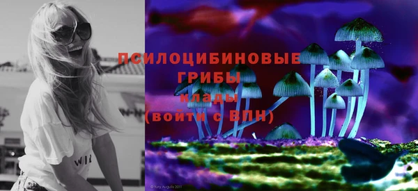 прущие грибы Алексеевка