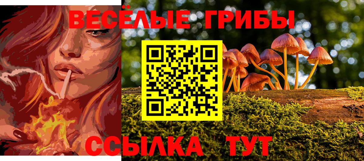 Псилоцибиновые грибы Cubensis Воткинск