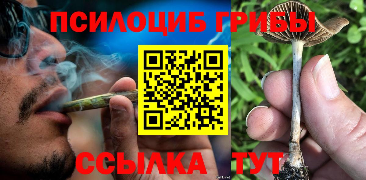 Воткинск  Галлюциногенные грибы прущие грибы  Псилоцибиновые грибы мицелий  Вход с VPN 